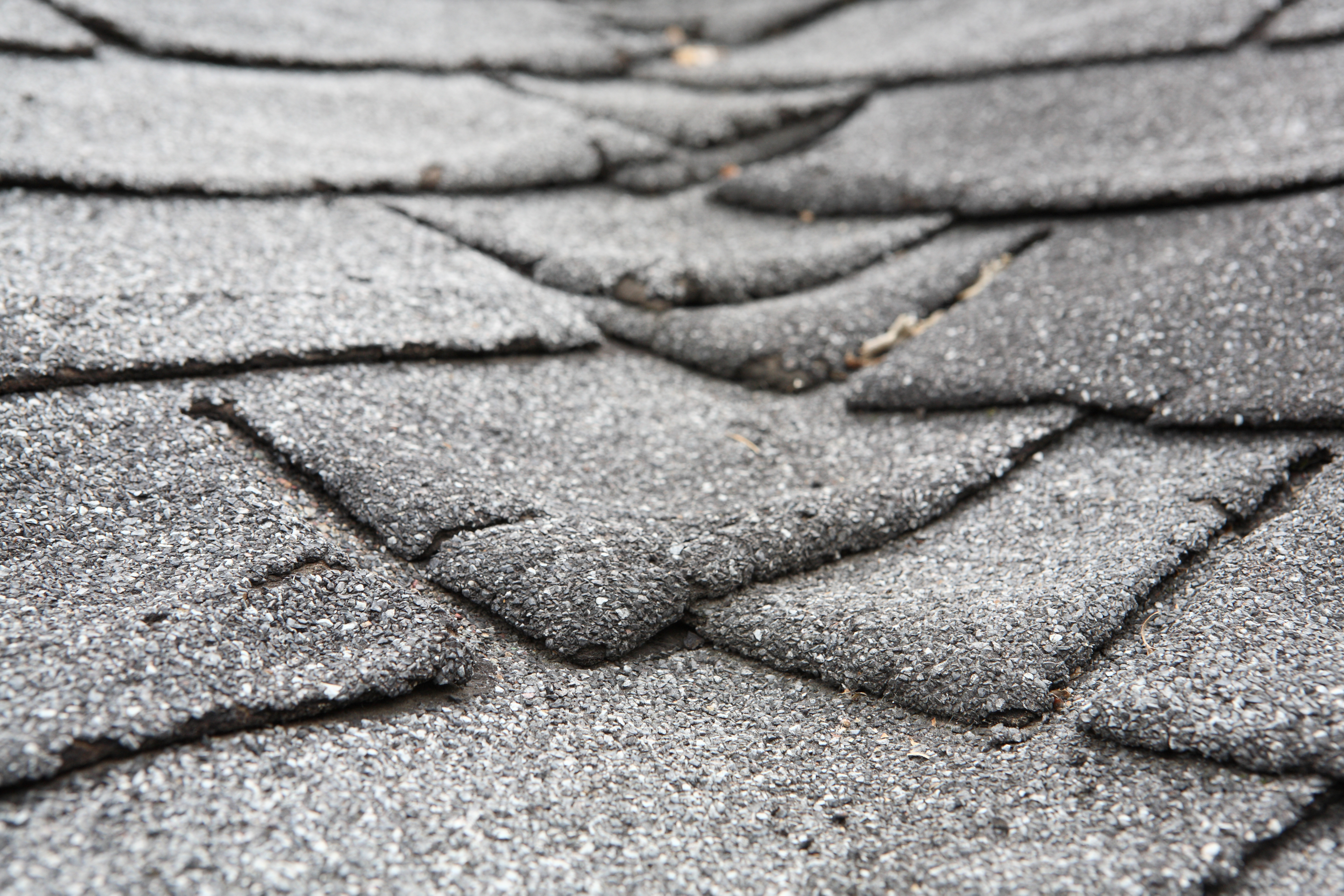 Does Your Roof Need to Be Replaced